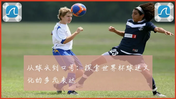从球衣到口号：探索世界杯球迷文化的多元表达